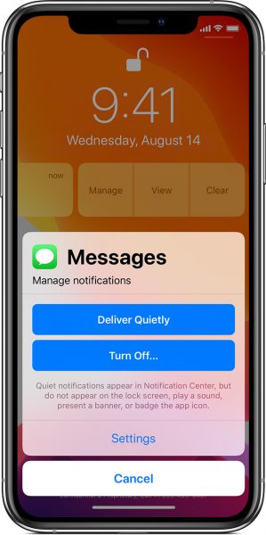 Cómo desactivar las notificaciones en la serie iPhone 11
